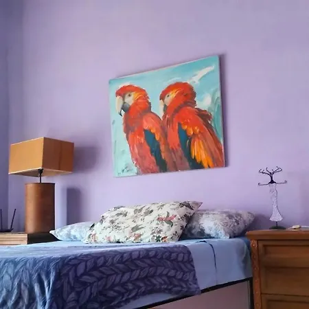 La Casita *